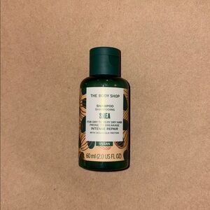 The Body Shop Shea Shampoo